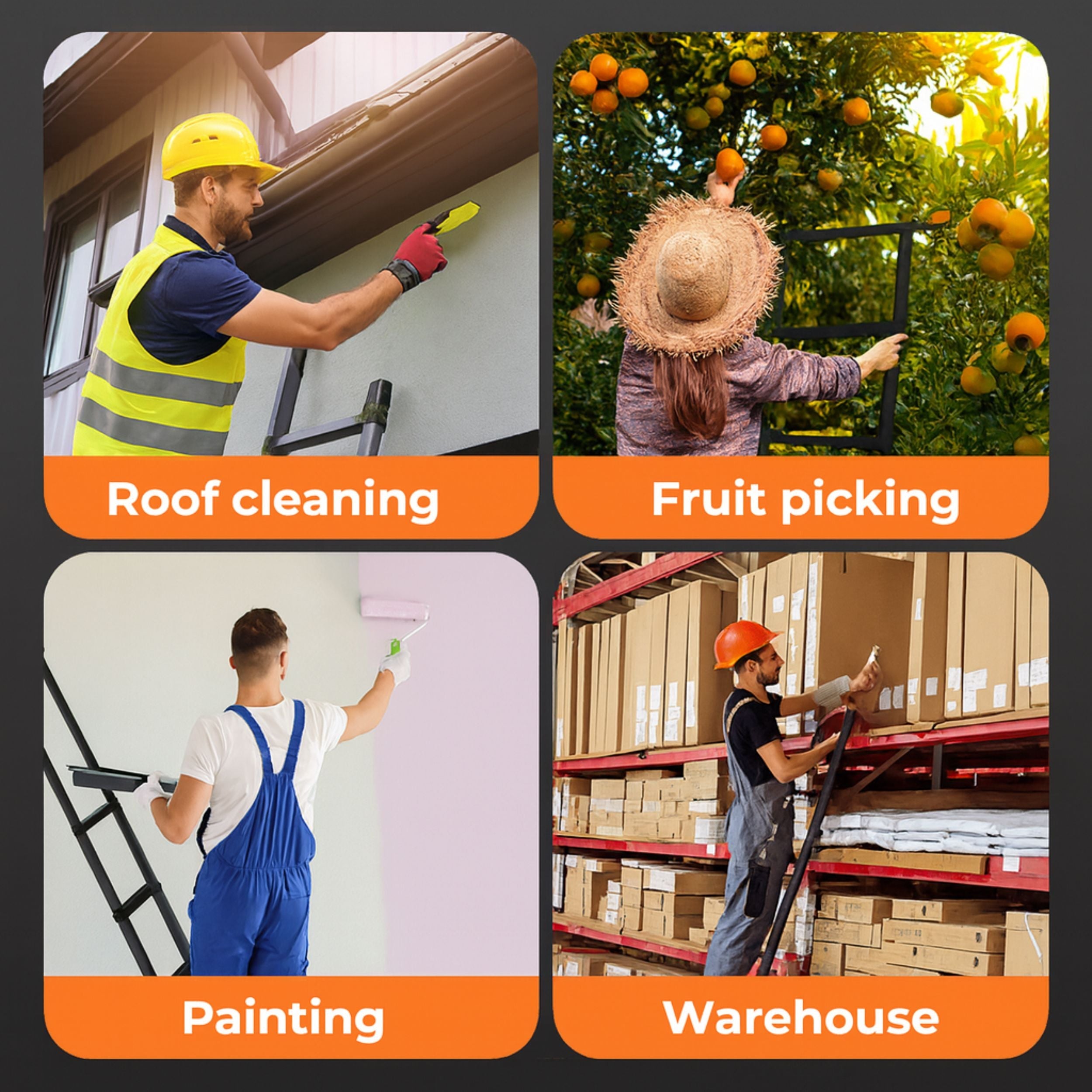 Extendable Easy Reach Ladder