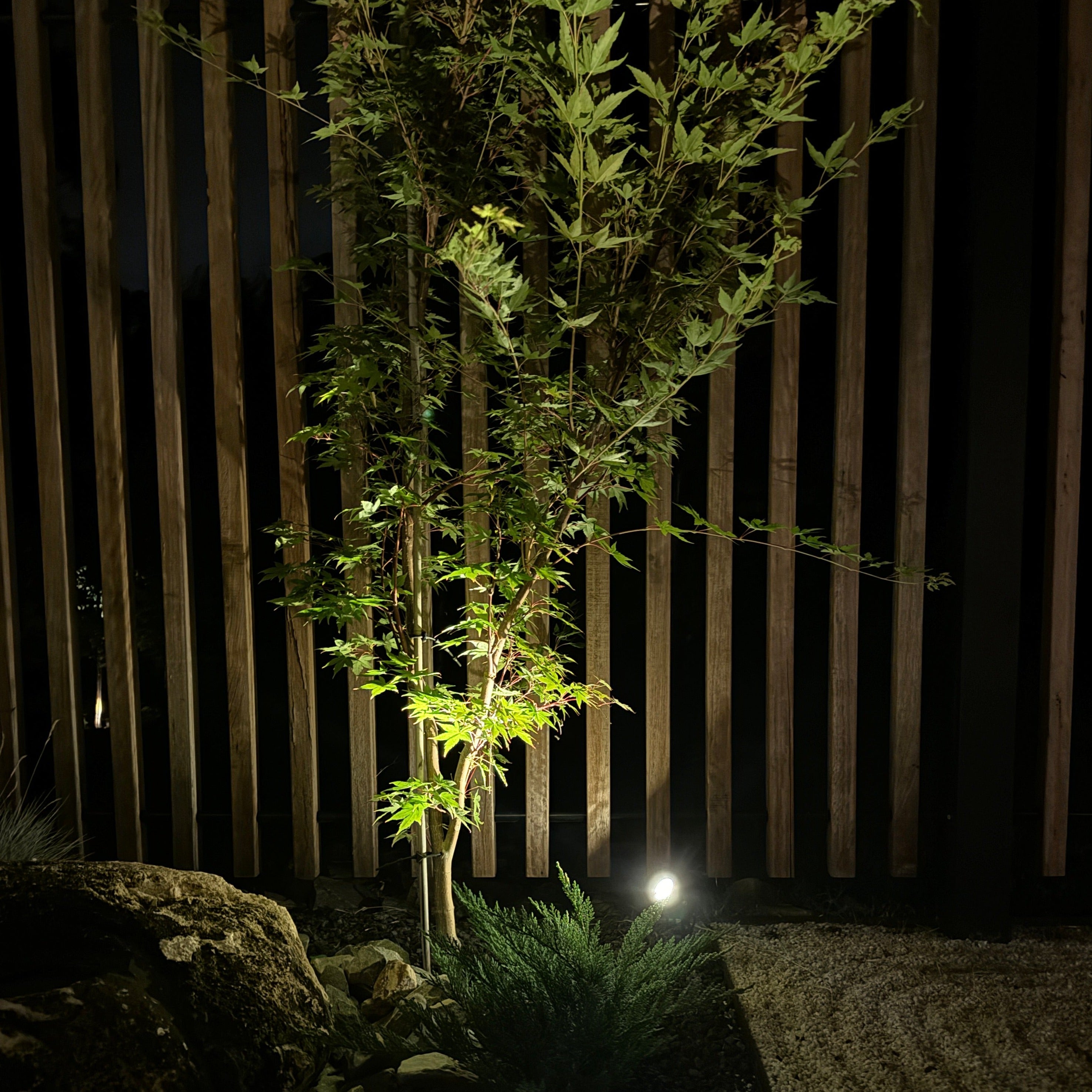 Solar Spotlight Pack  Outdoor Garden Lights for Garden Yard Path Driveway Porch Walkway