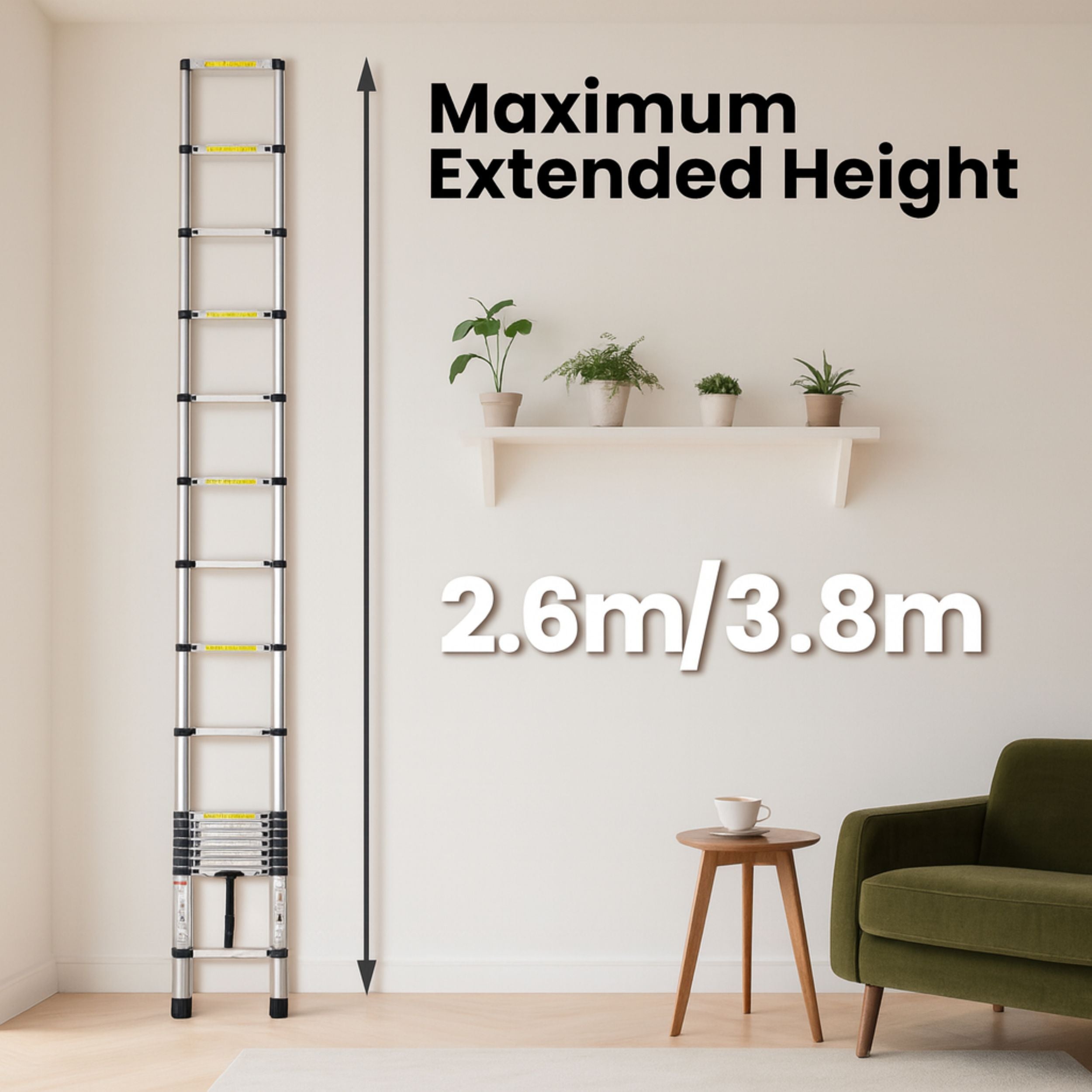 Extendable Easy Reach Ladder