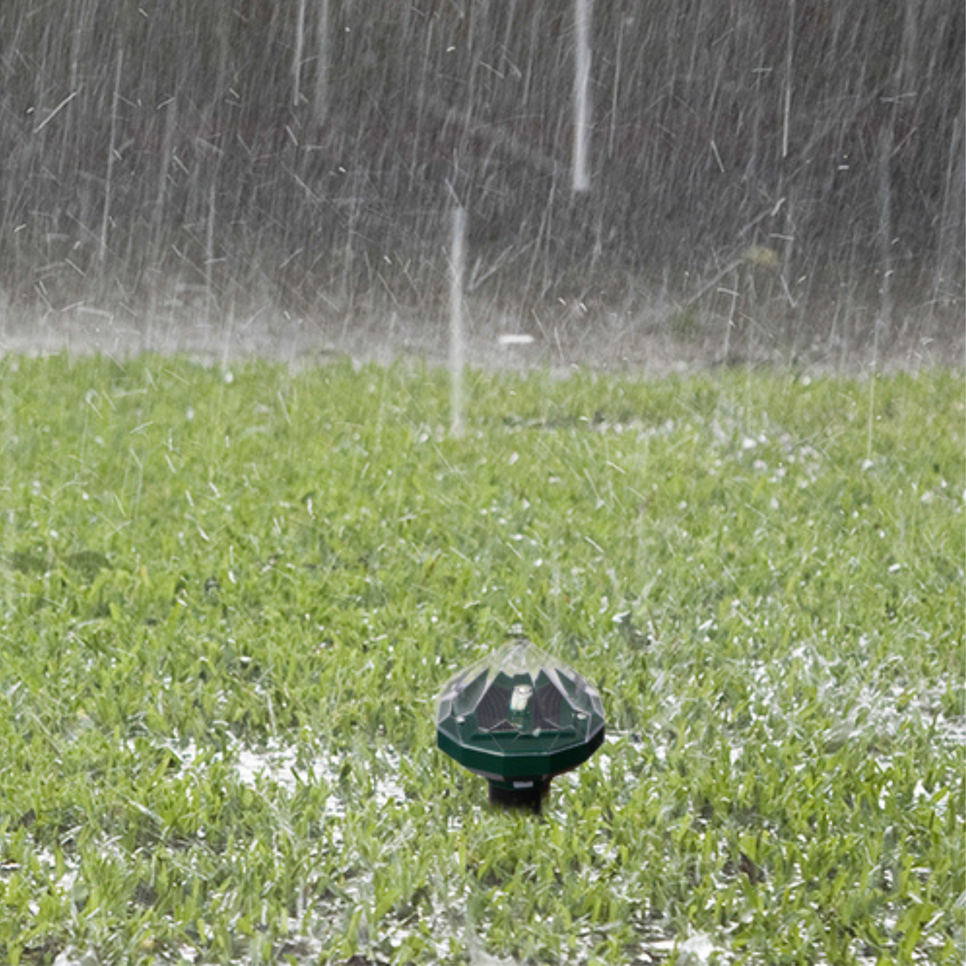 Solar Snake Repeller